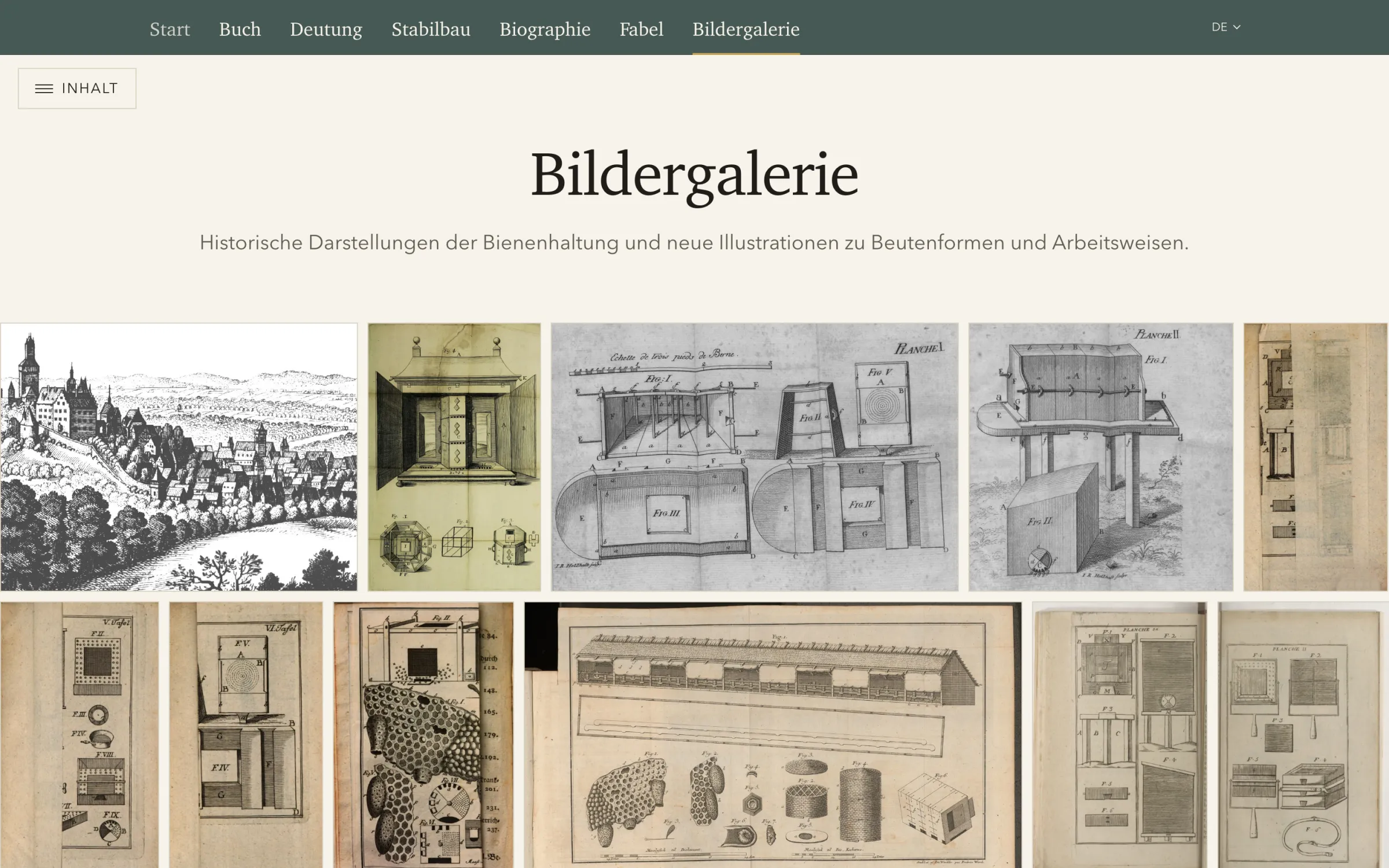 Die Bildergalerie von historischen Stichen bis zu heutigen Schemata